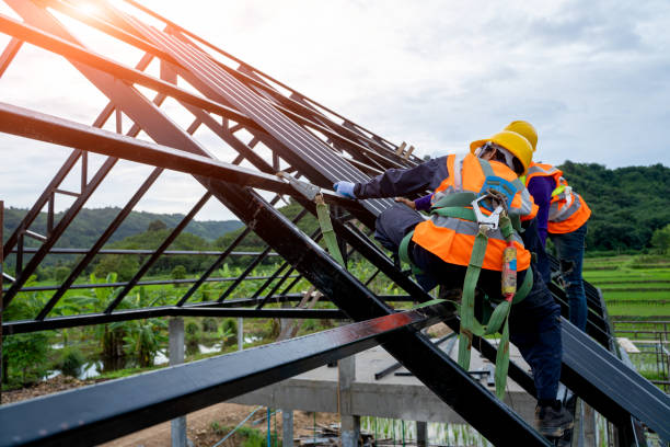 Best Flat Roof Repair Services  in Allendale, SC