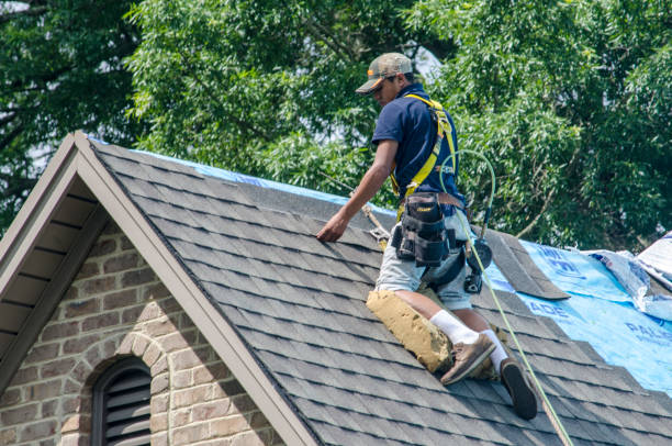 Best Storm Damage Roof Repair  in Allendale, SC